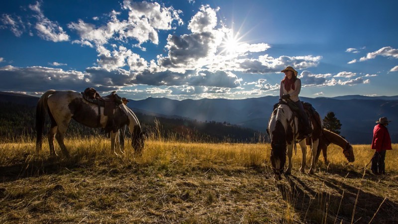 Riders and horses on a mountain meadow at sunset