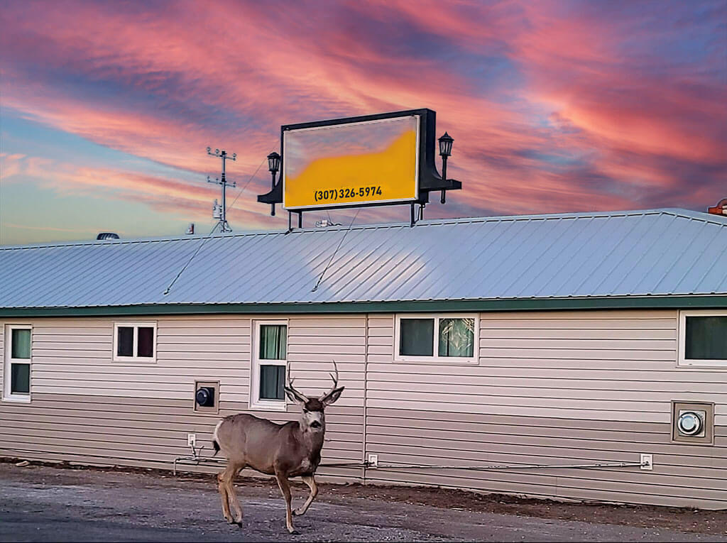 A mule deer walking past the Snowy Mountain Inn at sunset